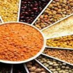 सरकारी वेबसाइट पर जारी खाद्यान्नों के थोक दाम इस प्रकार रहे :&