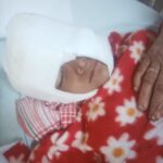 ग्वालियर शहर में आवारा कुत्तों का कहर जारी